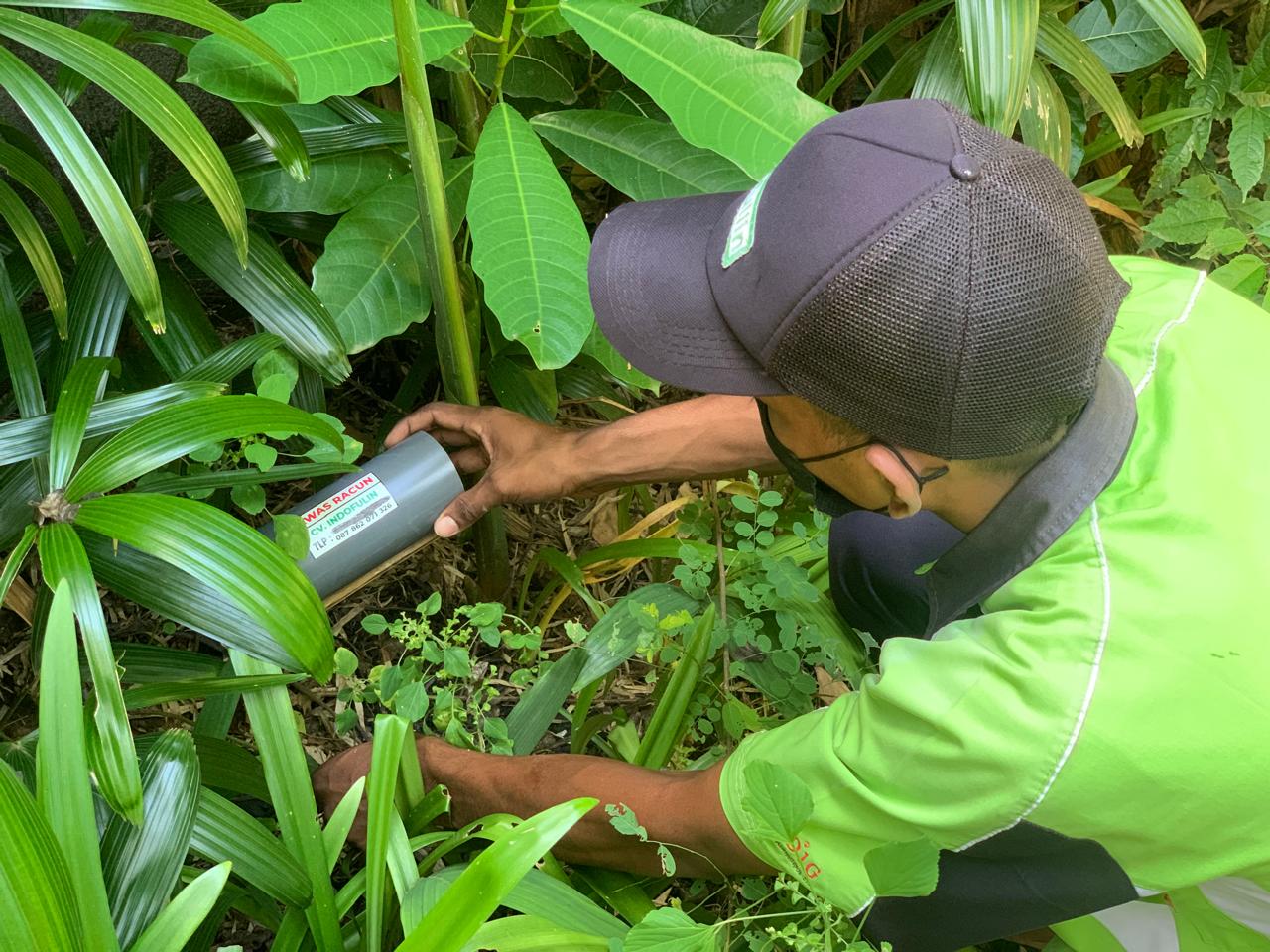 Jaga Kebersihan dan Keamanan Properti Anda dengan Layanan Rodent Control Profesional​