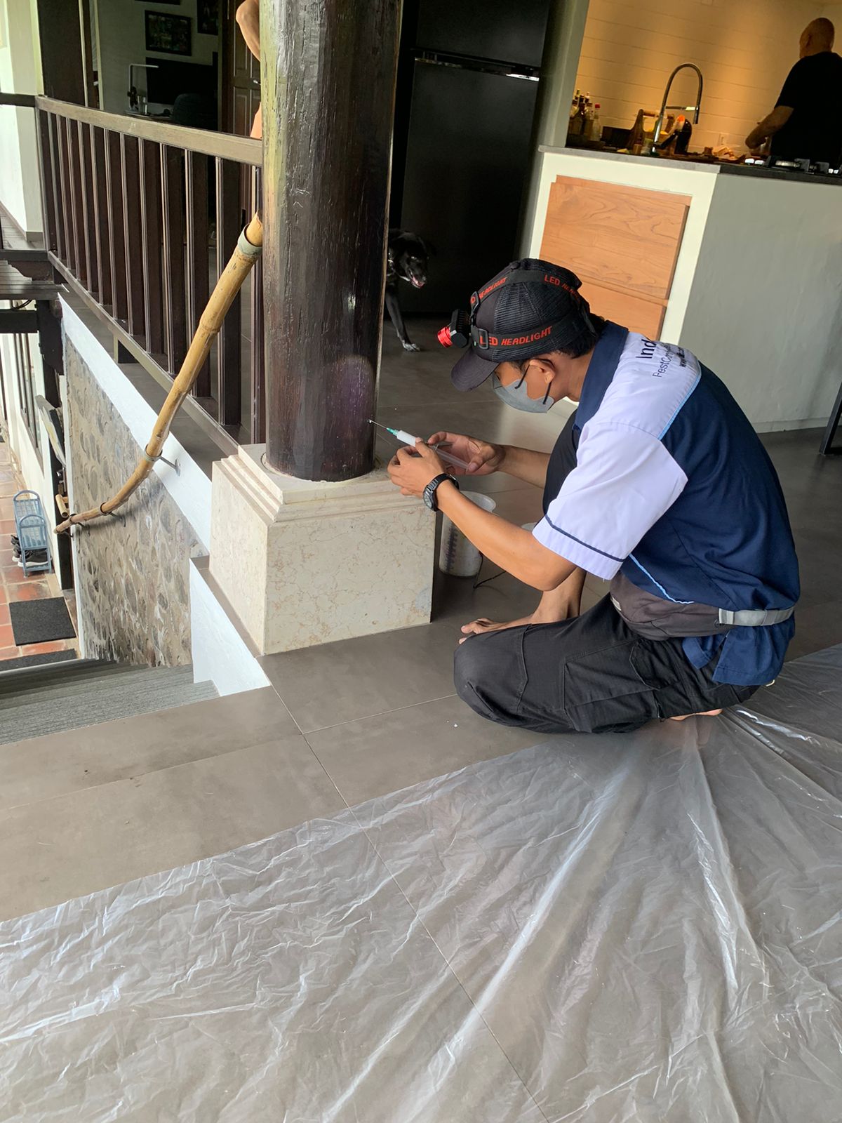 Lindungi Properti Anda dari Kerusakan Rayap dengan Layanan Termite Control Profesional​